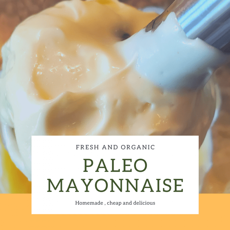 Homemade Paleo Mayonnaise
